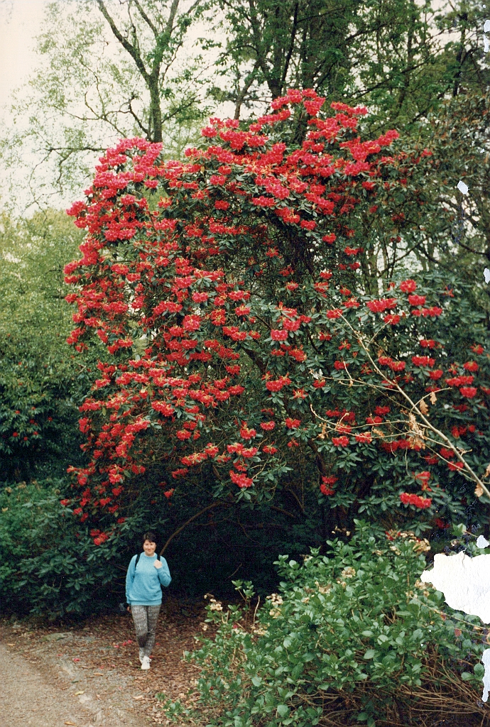 1996 - Grande-Bretagne 54 (Portmeirion - Mai 1996).jpg